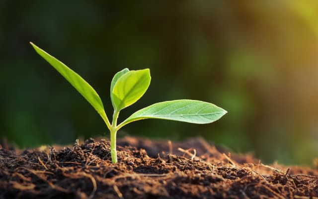 サステナビリティ