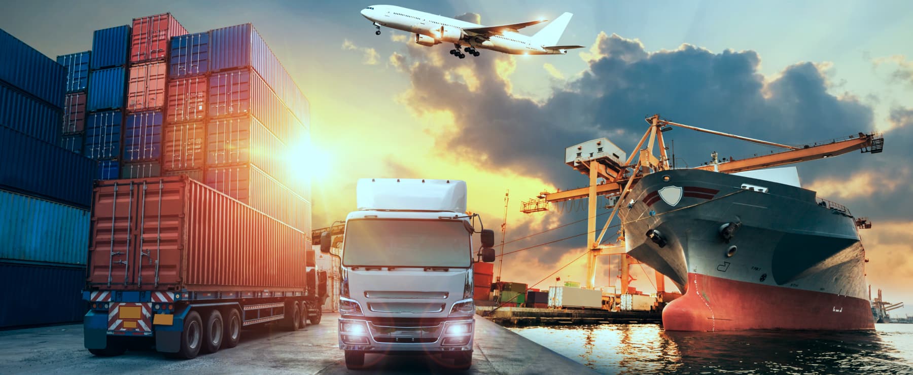 MCLCのネットワーク