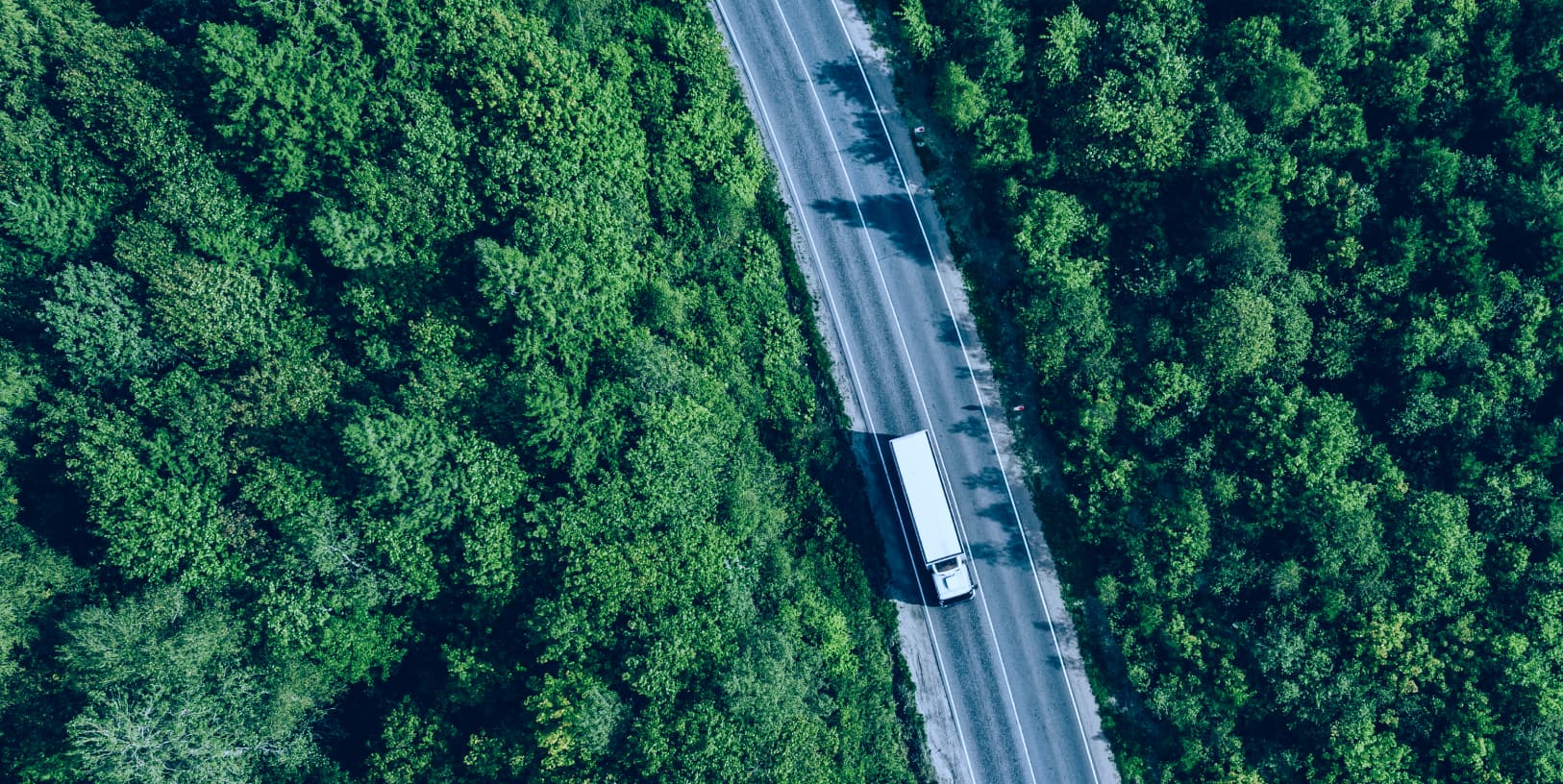 サステナビリティ