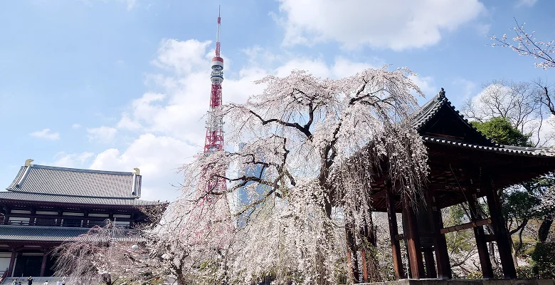 本社周辺の観光スポット